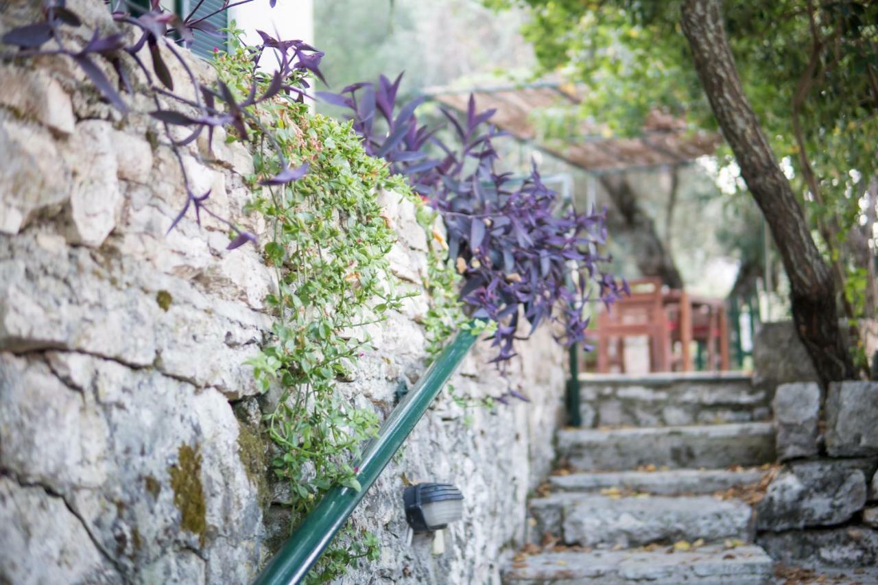 Almond Trees Cottage Divarata Exterior photo